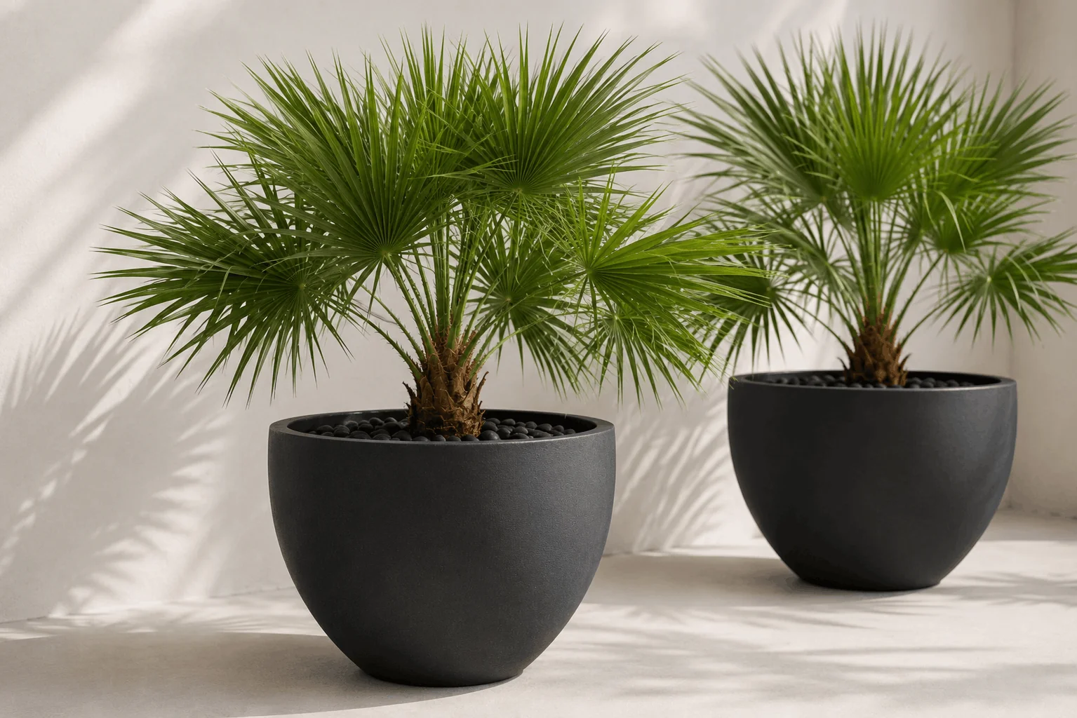 Maceteros Bowl de fibra de vidrio — Fibrotex